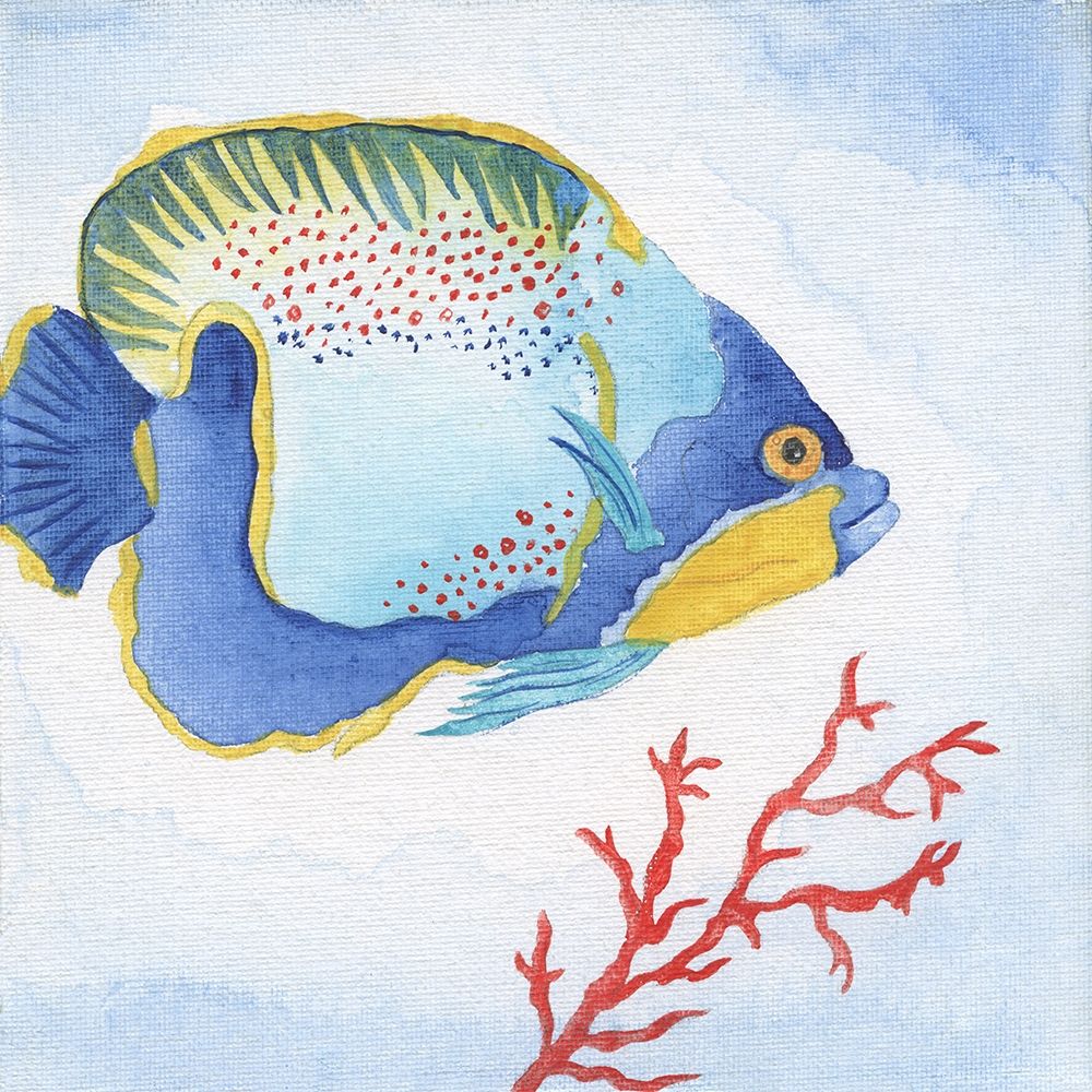 Galapagos Fish I art print by Tava Studios for $57.95 CAD