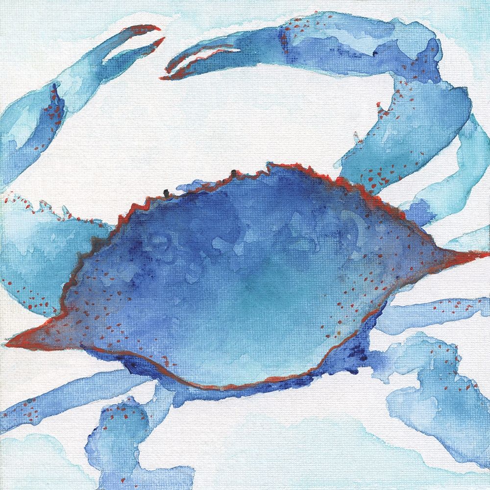 Galapagos Crab art print by Tava Studios for $57.95 CAD