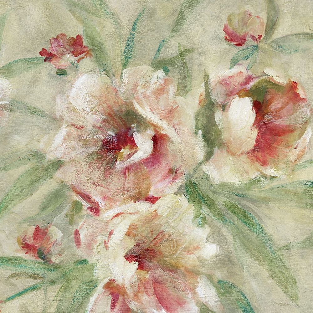 Peony Garden II art print by Carol Robinson for $57.95 CAD