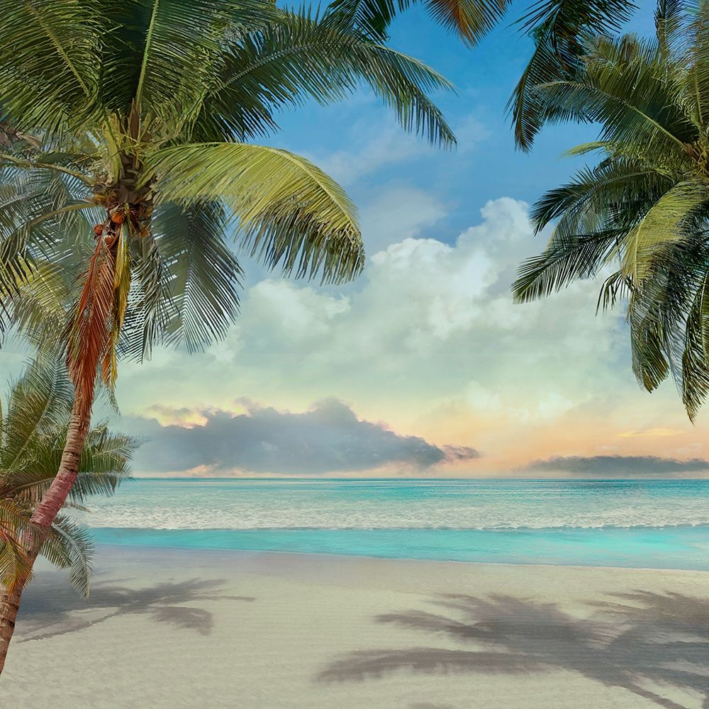 A Found Paradise I art print by Mike Calascibetta for $57.95 CAD