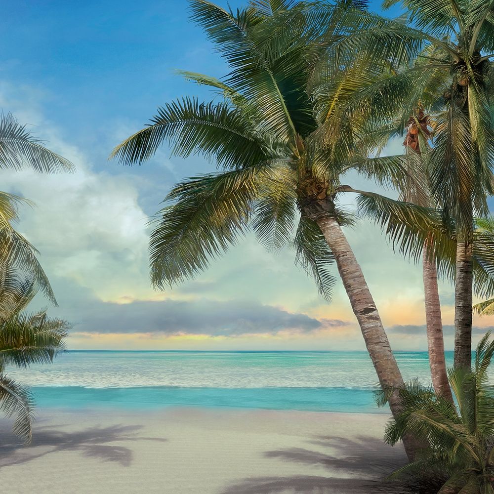 A Found Paradise II art print by Mike Calascibetta for $57.95 CAD