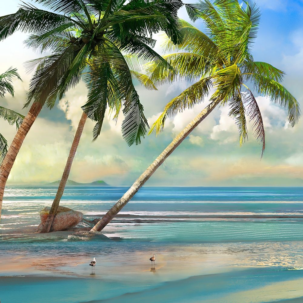 A Found Paradise III art print by Mike Calascibetta for $57.95 CAD