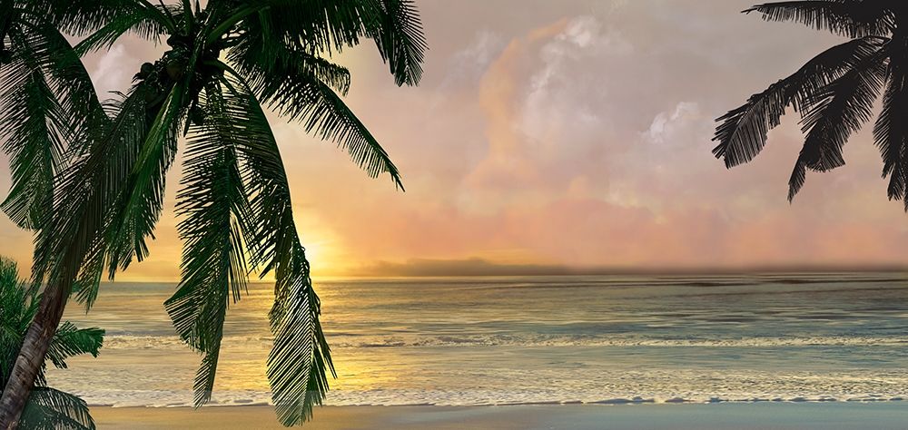 Sunset Cove art print by Mike Calascibetta for $57.95 CAD