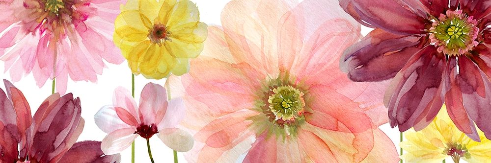 Pop of Pink II art print by Carol Robinson for $57.95 CAD