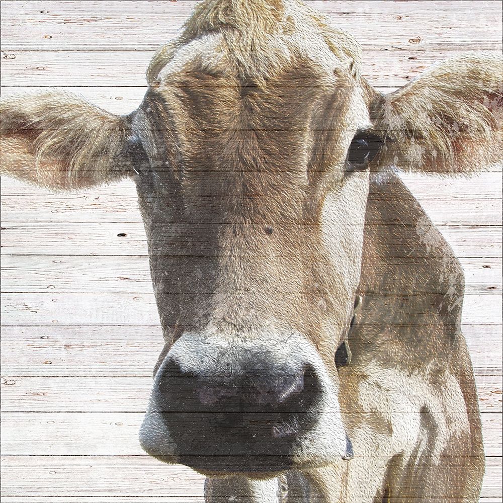 Maude art print by Daniela Santiago for $57.95 CAD