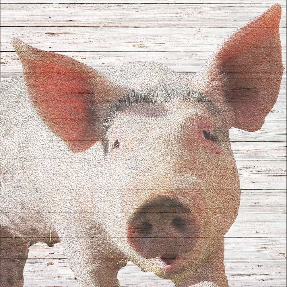 Wilbur art print by Daniela Santiago for $57.95 CAD
