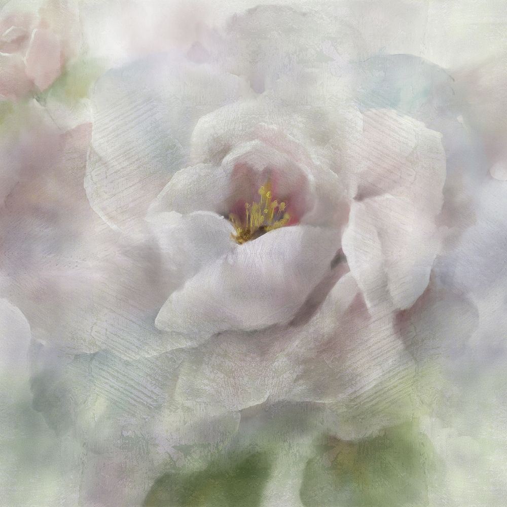 Dreamy Peony art print by Nan for $57.95 CAD