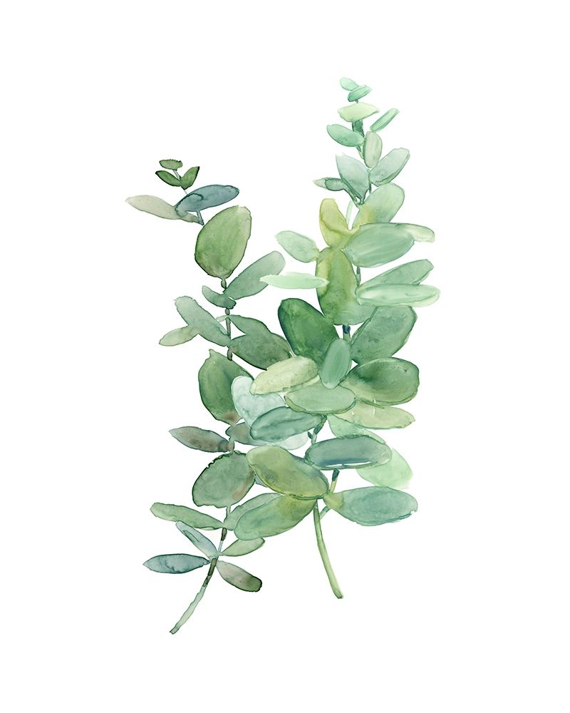 Eucalyptus I art print by Carol Robinson for $57.95 CAD