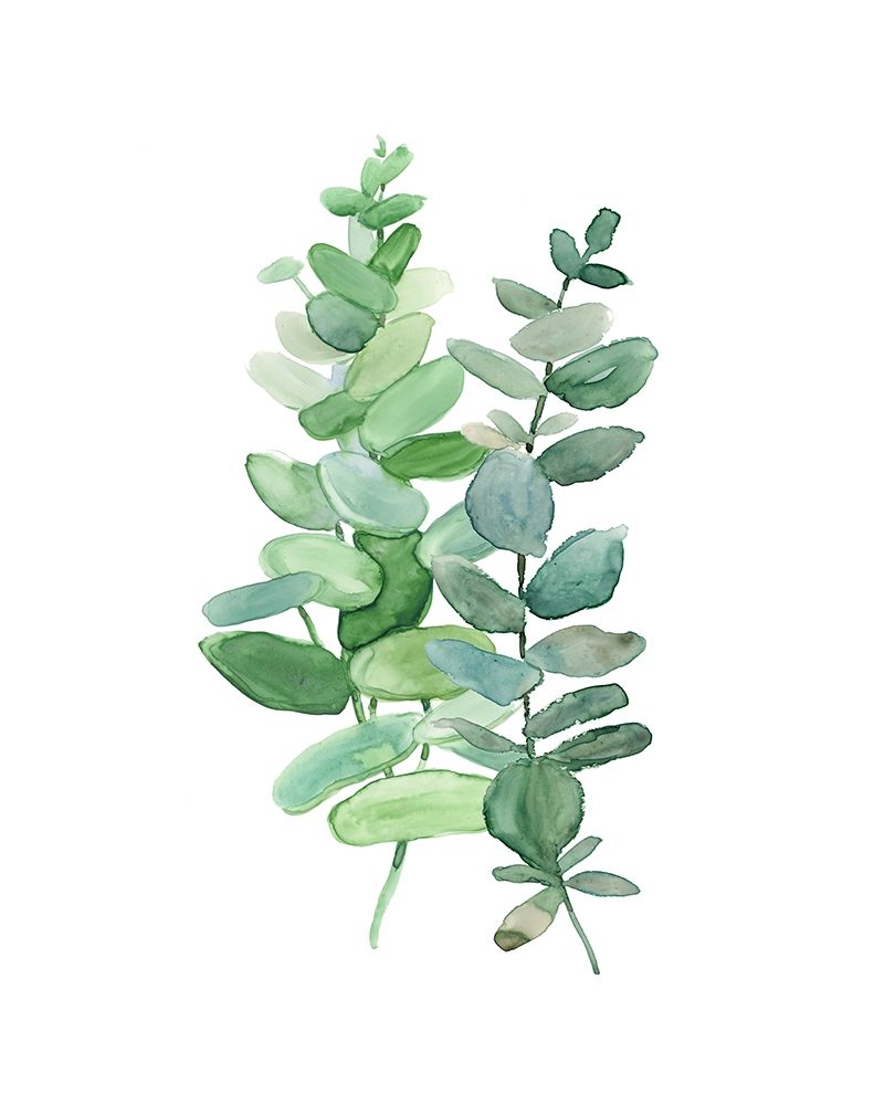 Eucalyptus II art print by Carol Robinson for $57.95 CAD