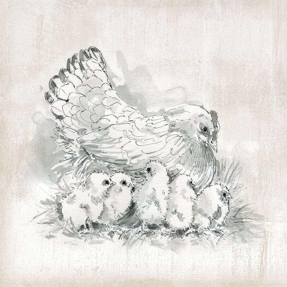 Hen and Chicks art print by Carol Robinson for $57.95 CAD