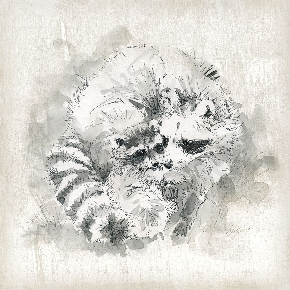 Raccoon Momma and Baby art print by Carol Robinson for $57.95 CAD