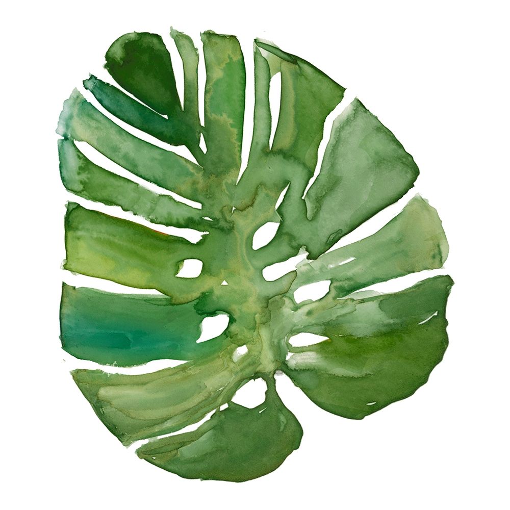Tropical Frond III art print by Carol Robinson for $57.95 CAD