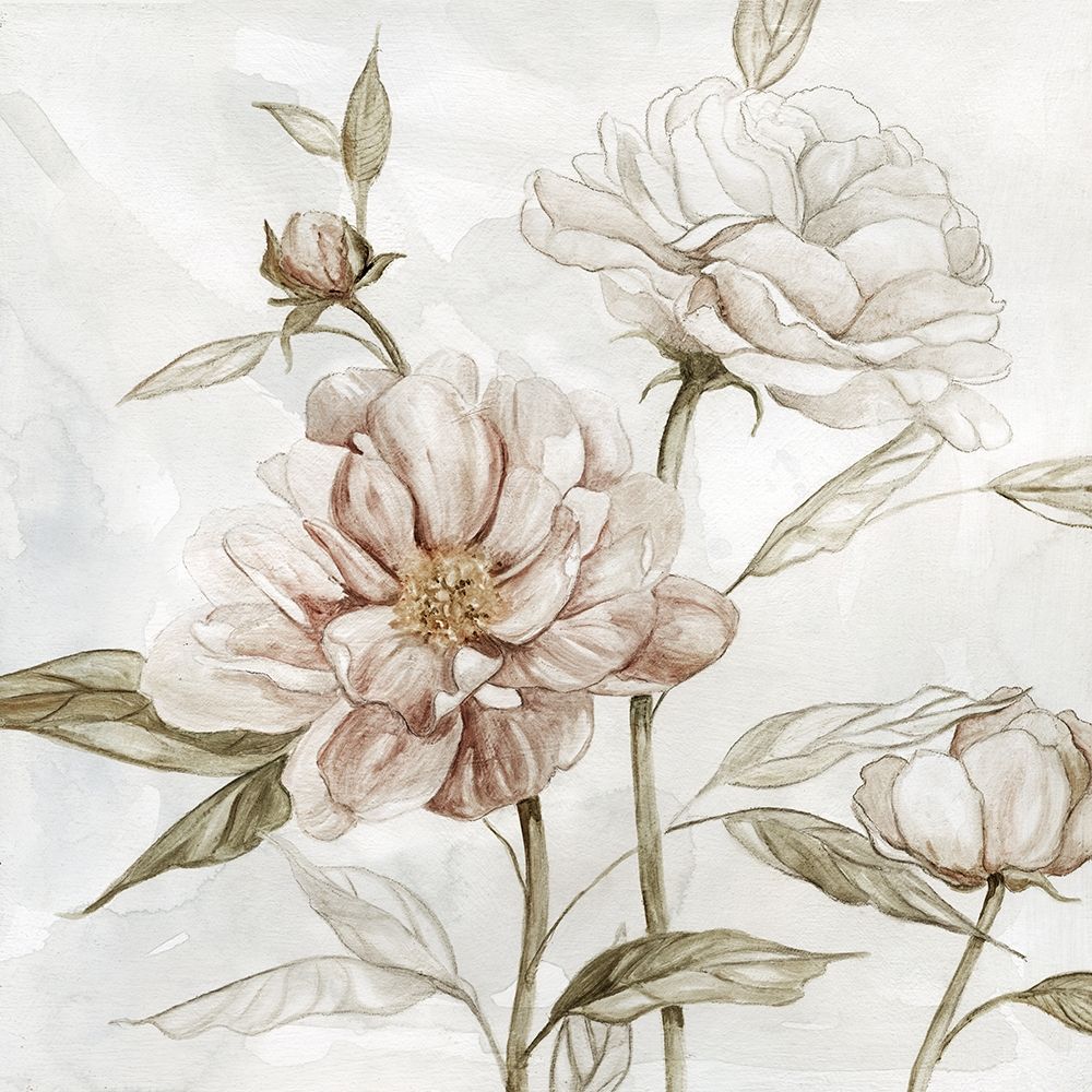 Washed Botanical II art print by Carol Robinson for $57.95 CAD