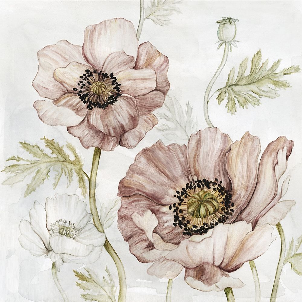 Washed Botanical IV art print by Carol Robinson for $57.95 CAD