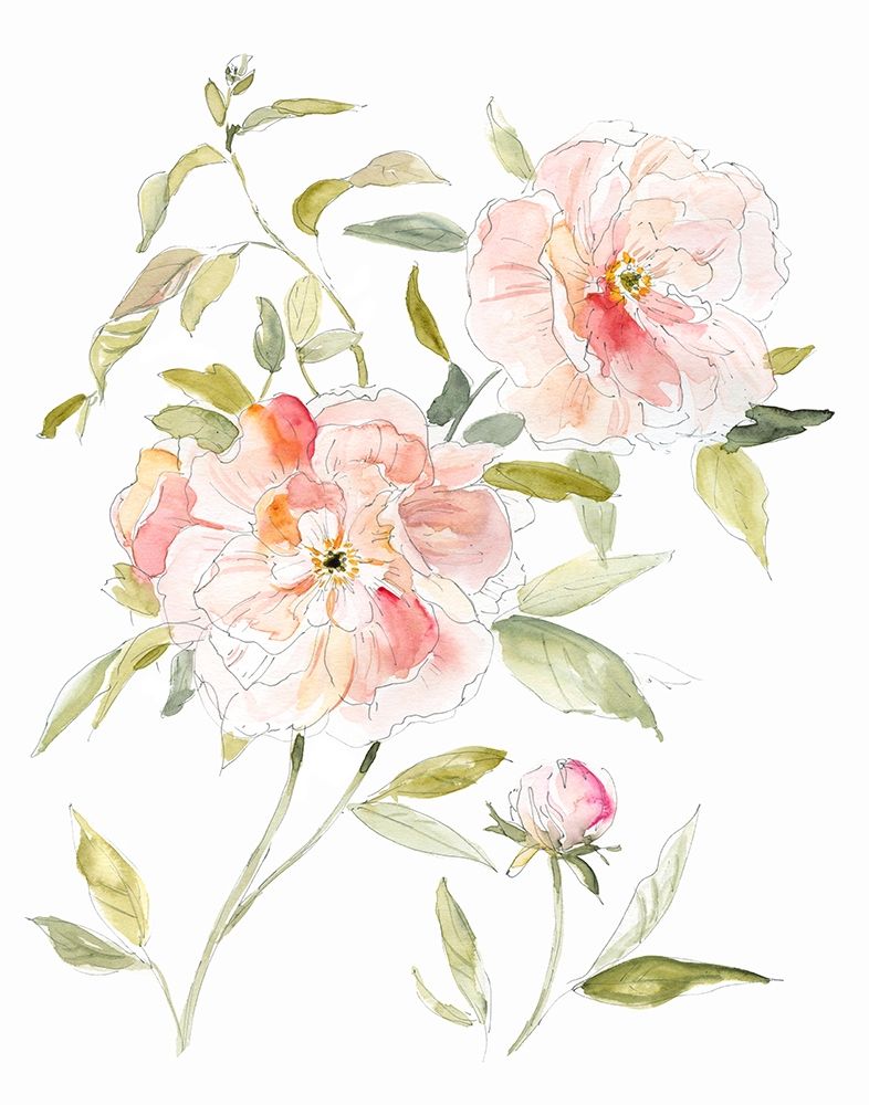 Sketchbook Cottage Rose II art print by Carol Robinson for $57.95 CAD