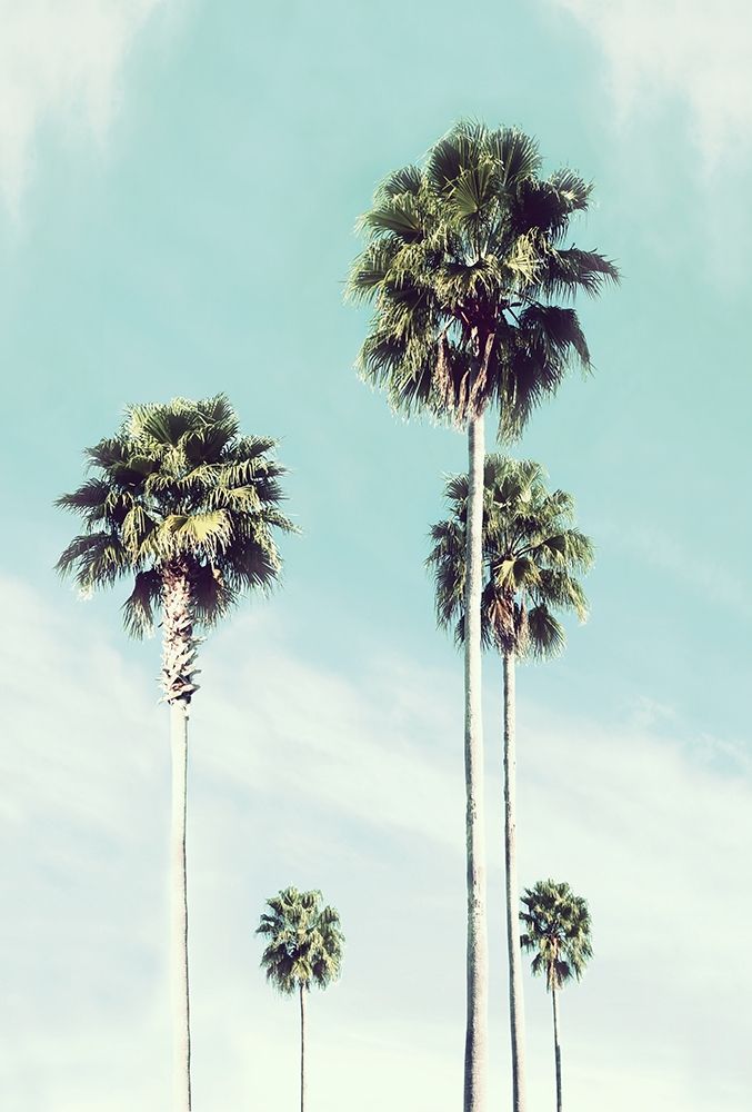 Vintage Palm art print by Natalie Carpentieri for $57.95 CAD