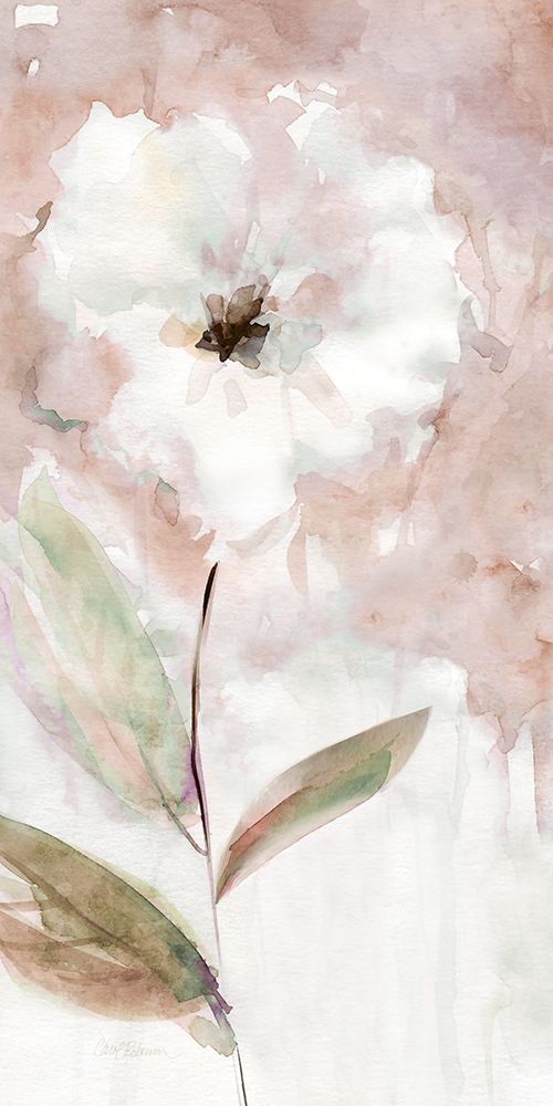Summer Bloom I art print by Carol Robinson for $57.95 CAD