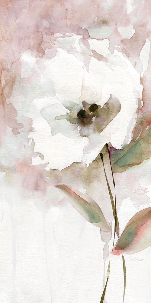 Summer Bloom II art print by Carol Robinson for $57.95 CAD