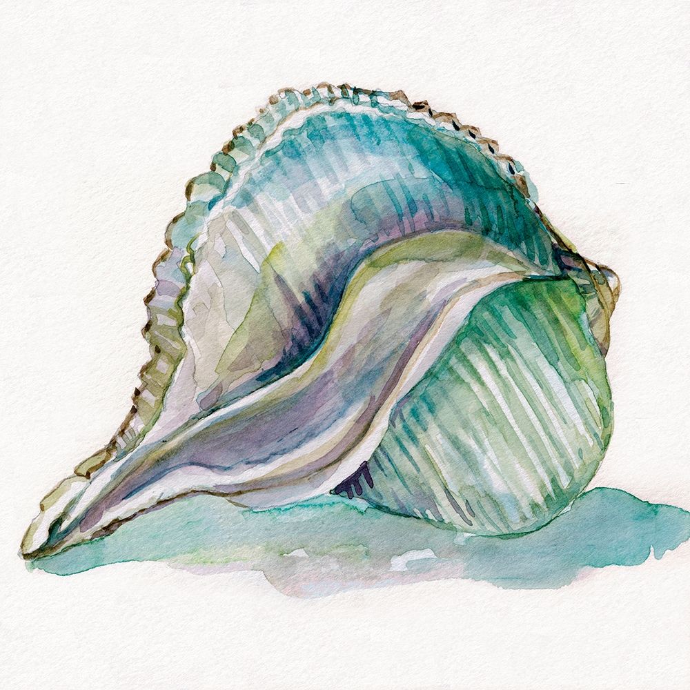 Malecon Shell I art print by Carol Robinson for $57.95 CAD