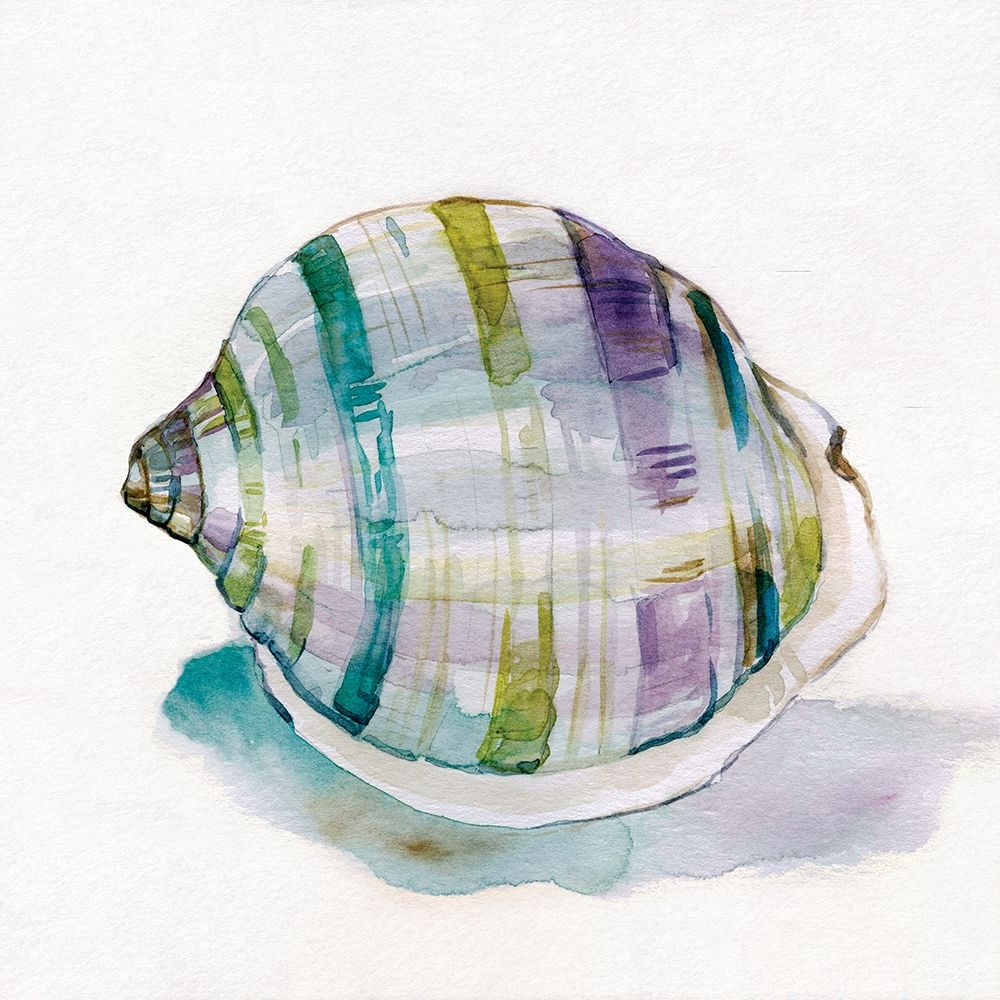 Malecon Shell III art print by Carol Robinson for $57.95 CAD