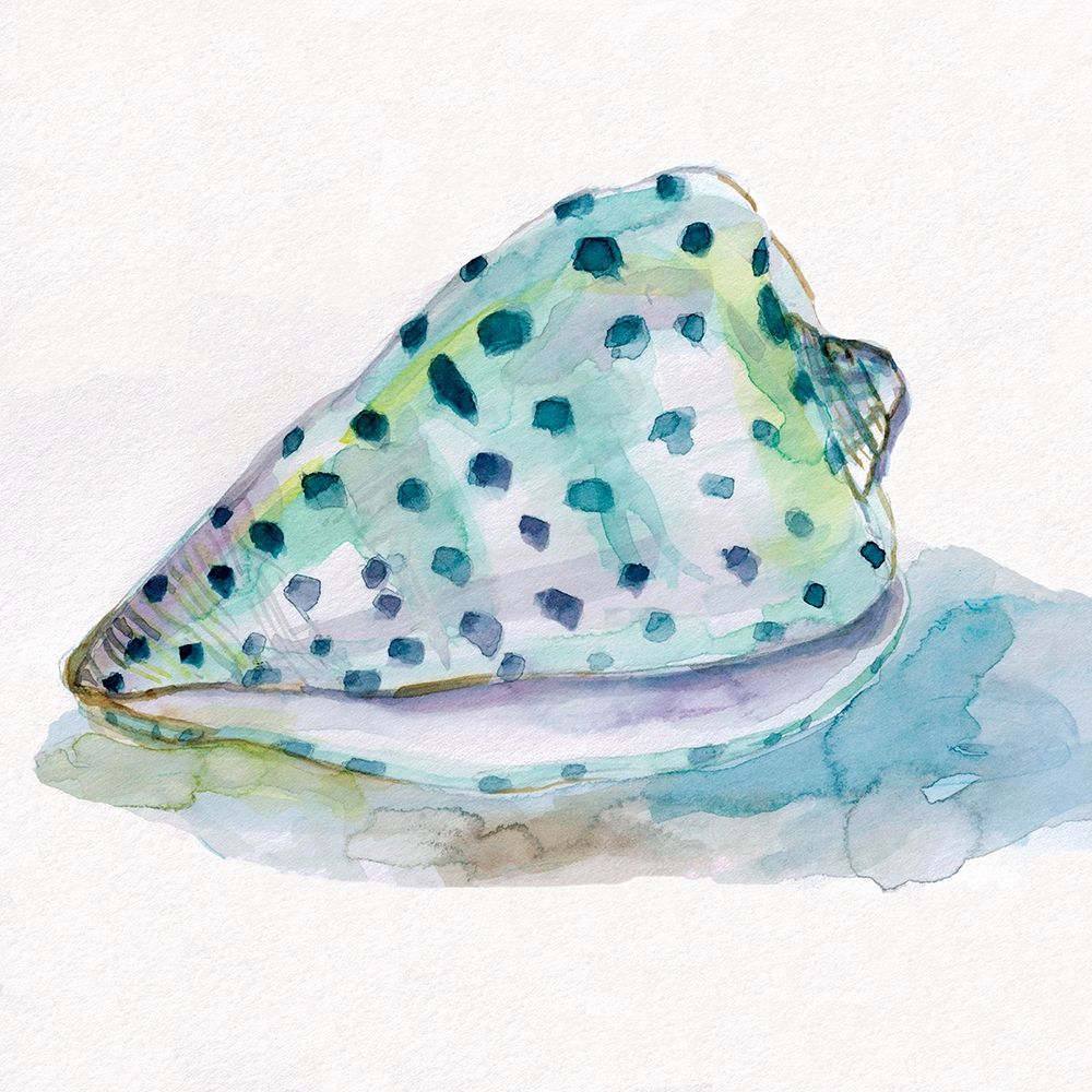 Malecon Shell IV art print by Carol Robinson for $57.95 CAD