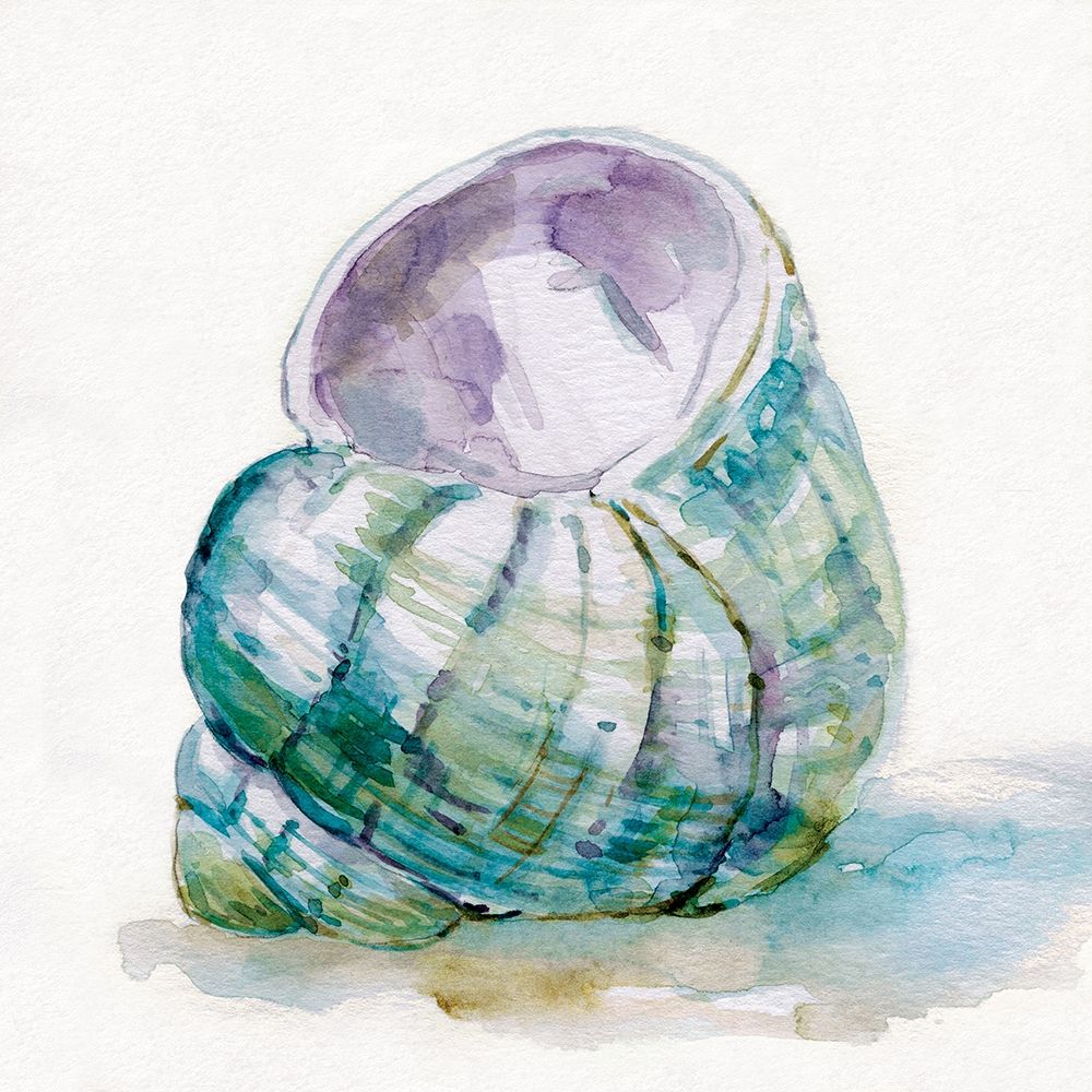 Malecon Shell V art print by Carol Robinson for $57.95 CAD