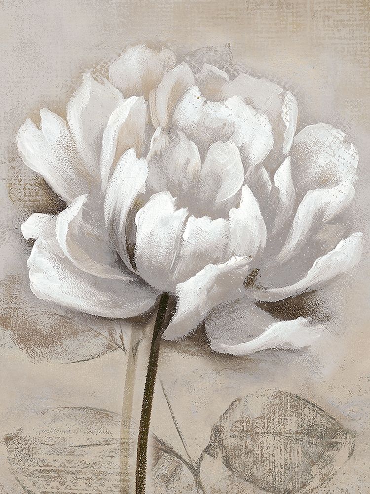 Soft White I art print by Nan for $57.95 CAD