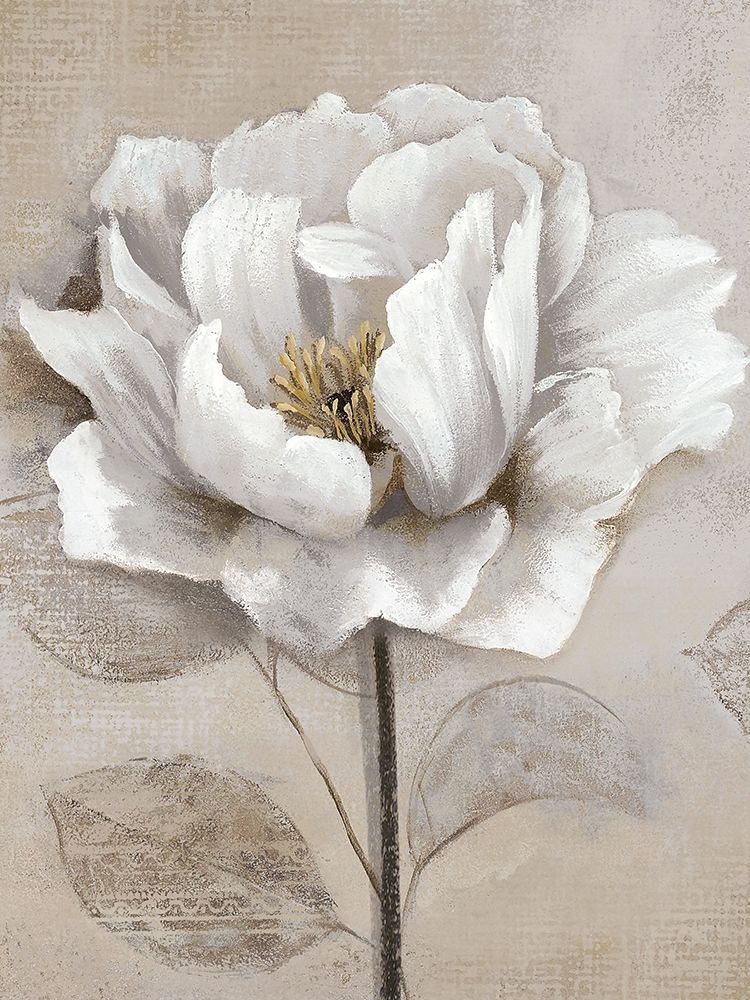 Soft White II art print by Nan for $57.95 CAD