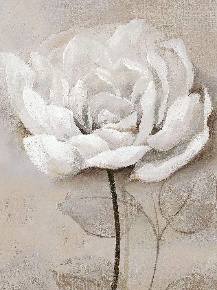 Soft White III art print by Nan for $57.95 CAD