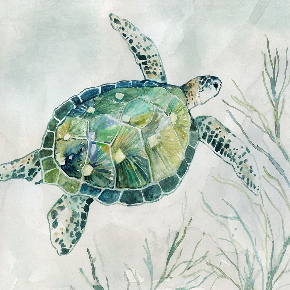 Seaglass Turtle I art print by Carol Robinson for $57.95 CAD