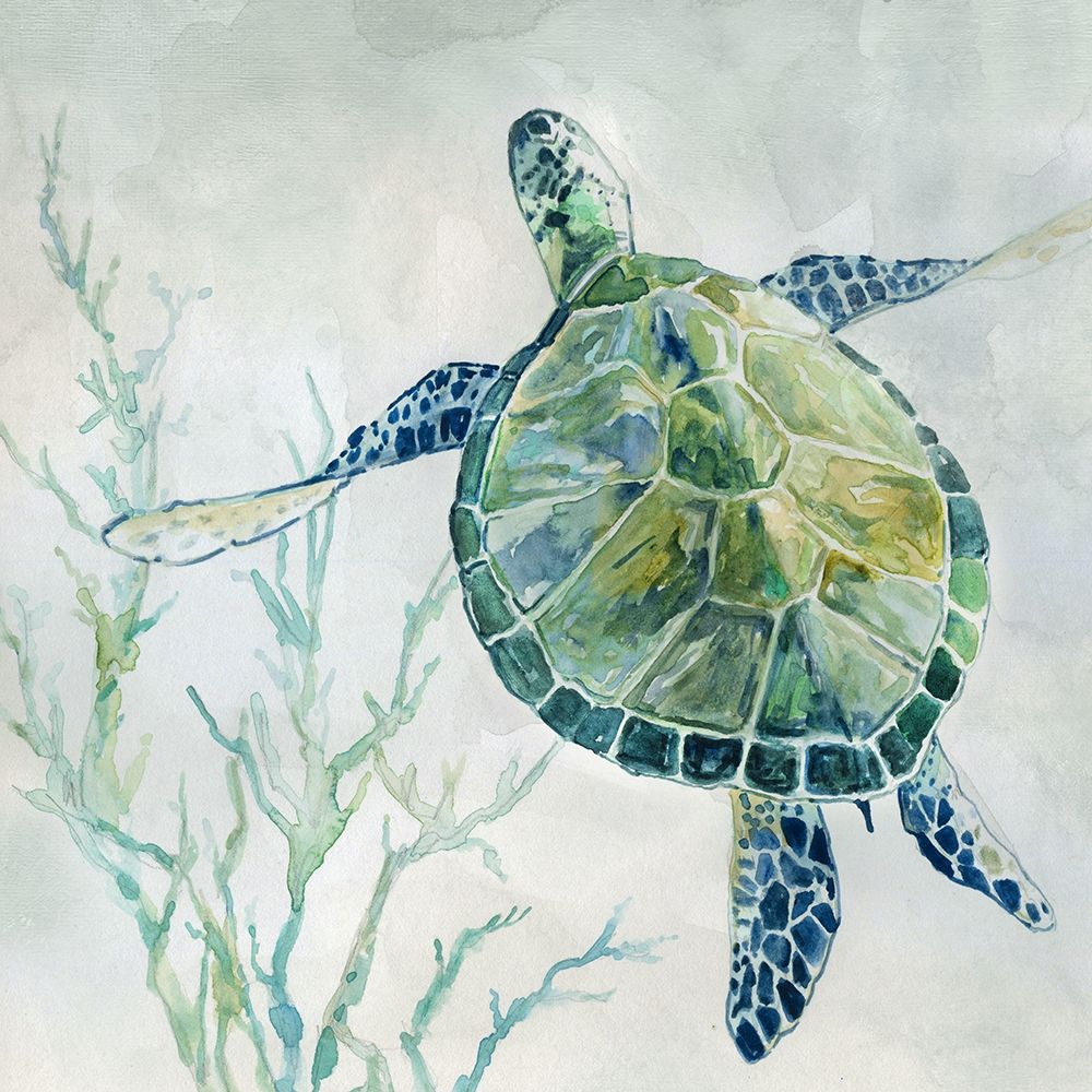 Seaglass Turtle II art print by Carol Robinson for $57.95 CAD