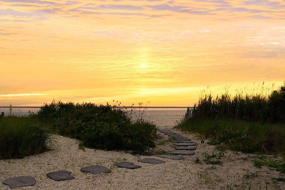 Sunset Path art print by Natalie Carpentieri for $57.95 CAD