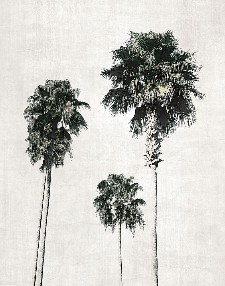 Sketchbook Palm art print by Natalie Carpentieri for $57.95 CAD