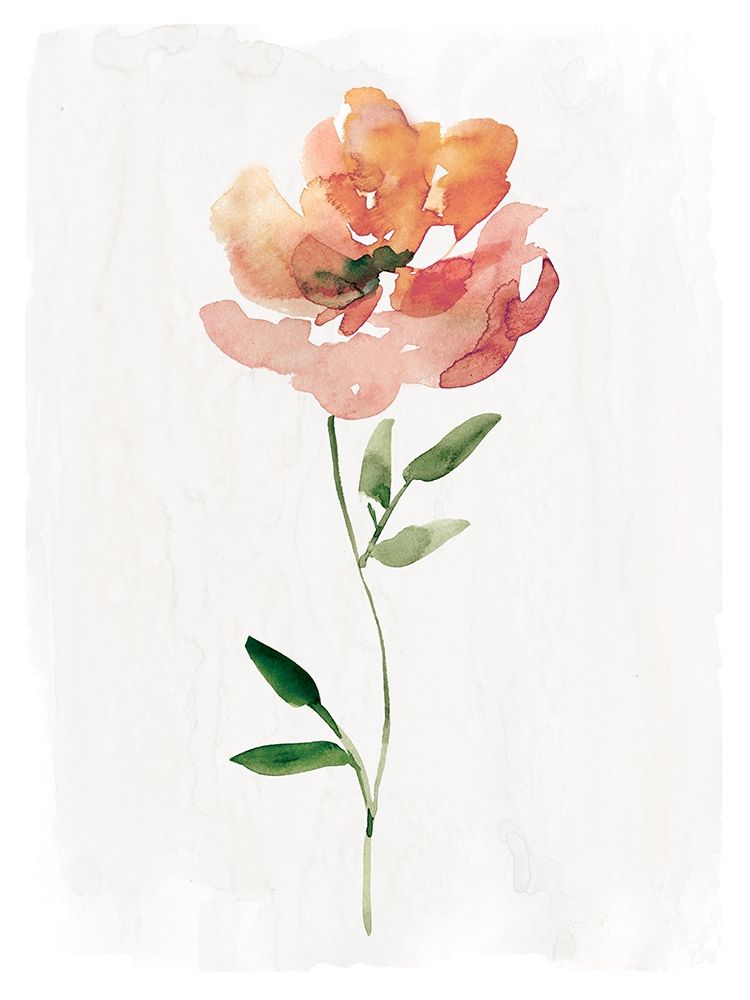 Happy Bloom I art print by Carol Robinson for $57.95 CAD