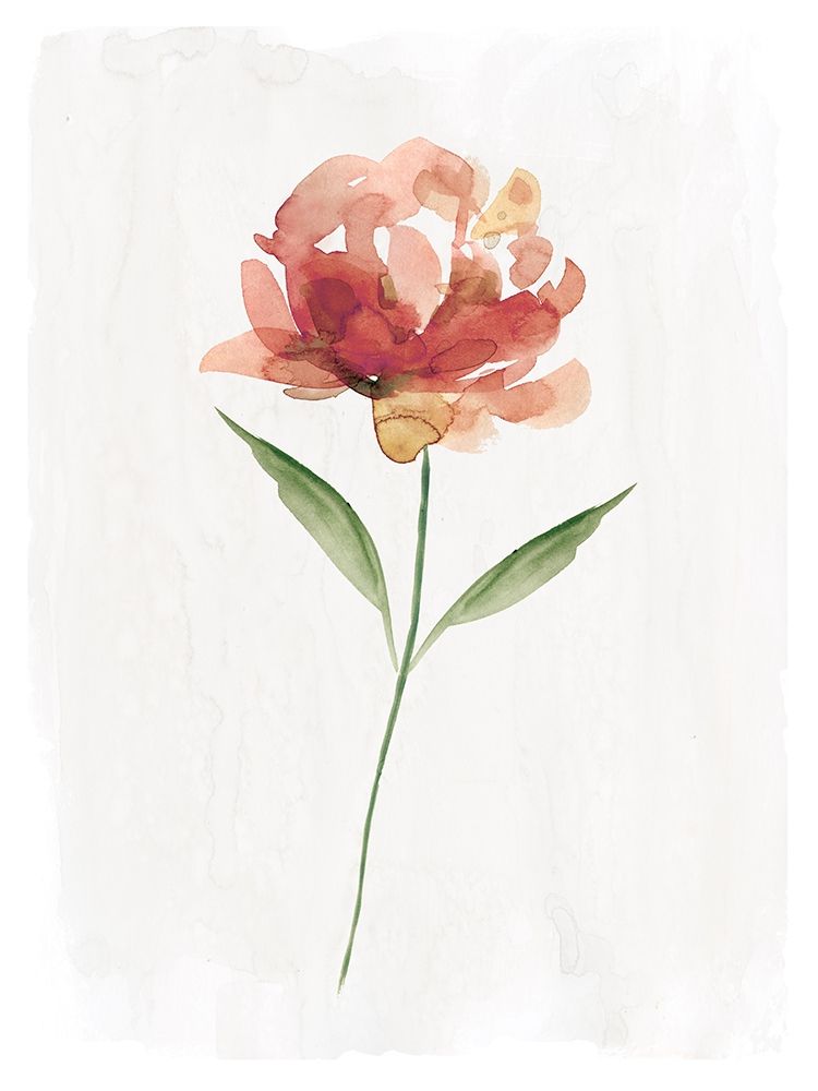 Happy Bloom II art print by Carol Robinson for $57.95 CAD