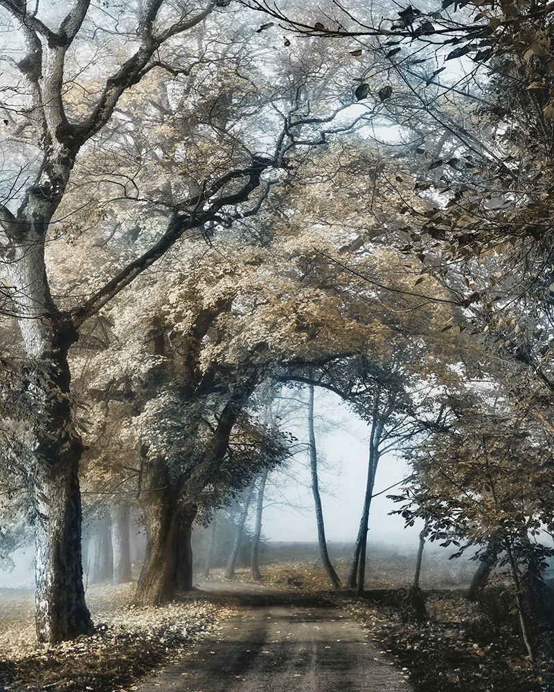 Road to Tomorrow art print by Lars Van de Goor for $57.95 CAD