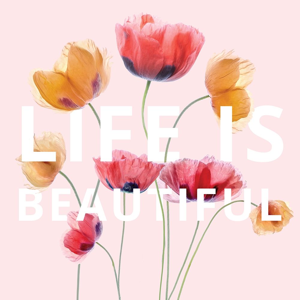 Life is Beautiful art print by Mandy Disher for $57.95 CAD