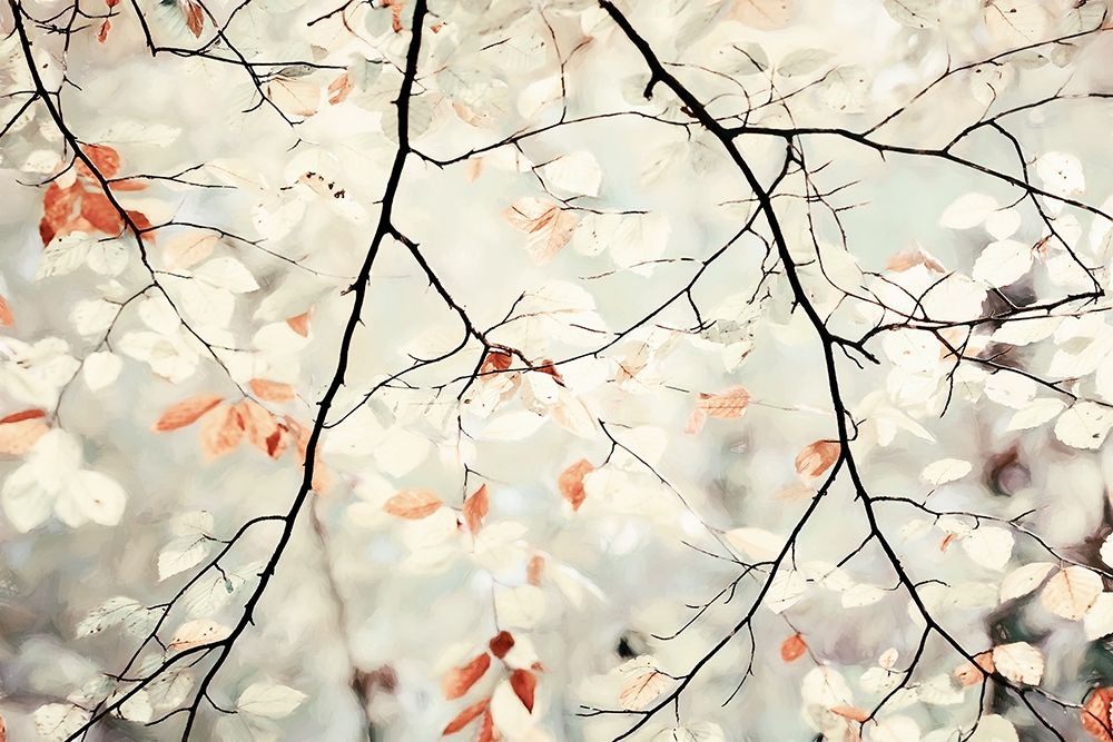 Simplicity art print by Lars Van de Goor for $57.95 CAD