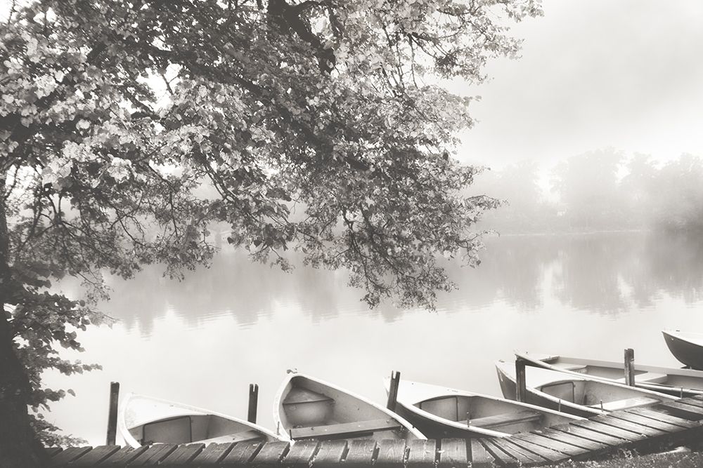 Morning art print by Irene Weisz for $57.95 CAD