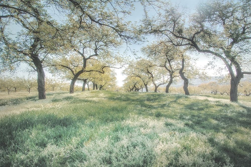 Charming Spring Mood art print by Irene Weisz for $57.95 CAD