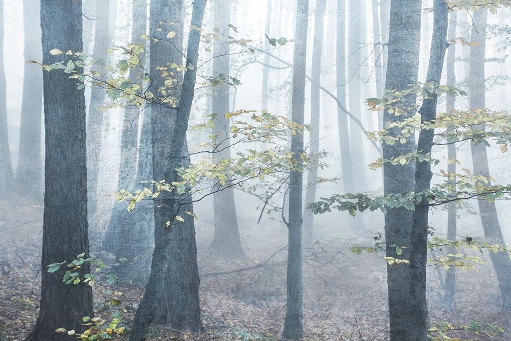 Chalky Misty art print by Irene Weisz for $57.95 CAD