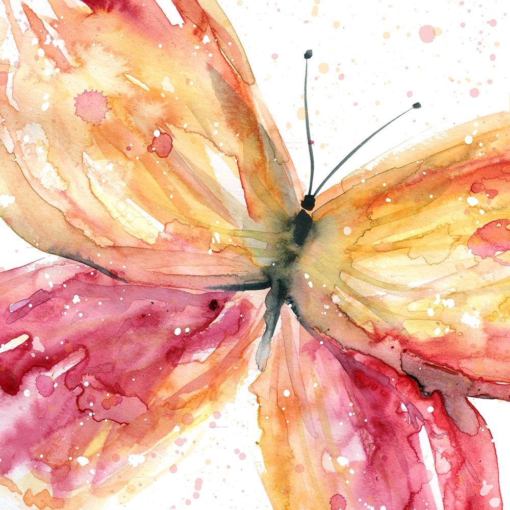 Butterfly Fling I art print by Carol Robinson for $57.95 CAD
