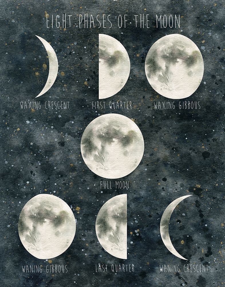 Phases of the Moon art print by Carol Robinson for $57.95 CAD