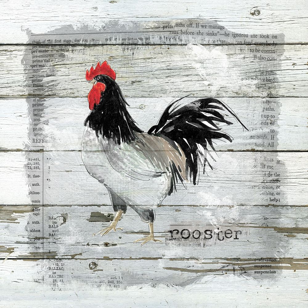 Farmhouse Collage Rooster art print by Carol Robinson for $57.95 CAD