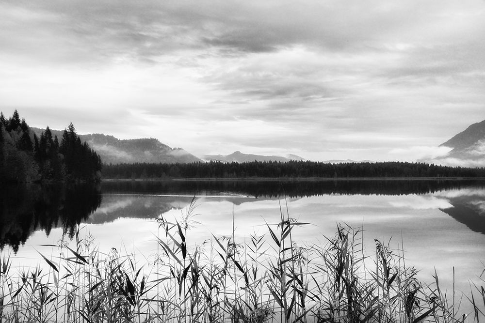 Another Place art print by Irene Weisz for $57.95 CAD