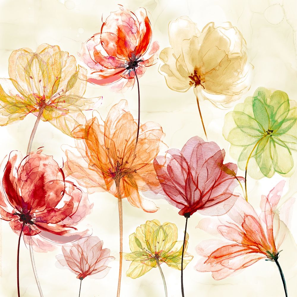Splash of Color art print by Carol Robinson for $57.95 CAD