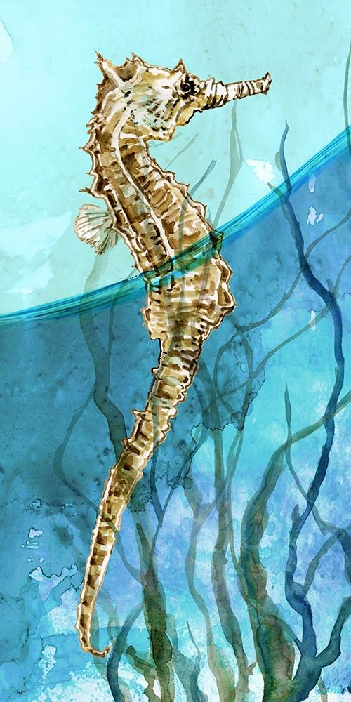 Atlantic Seahorse art print by Carol Robinson for $57.95 CAD