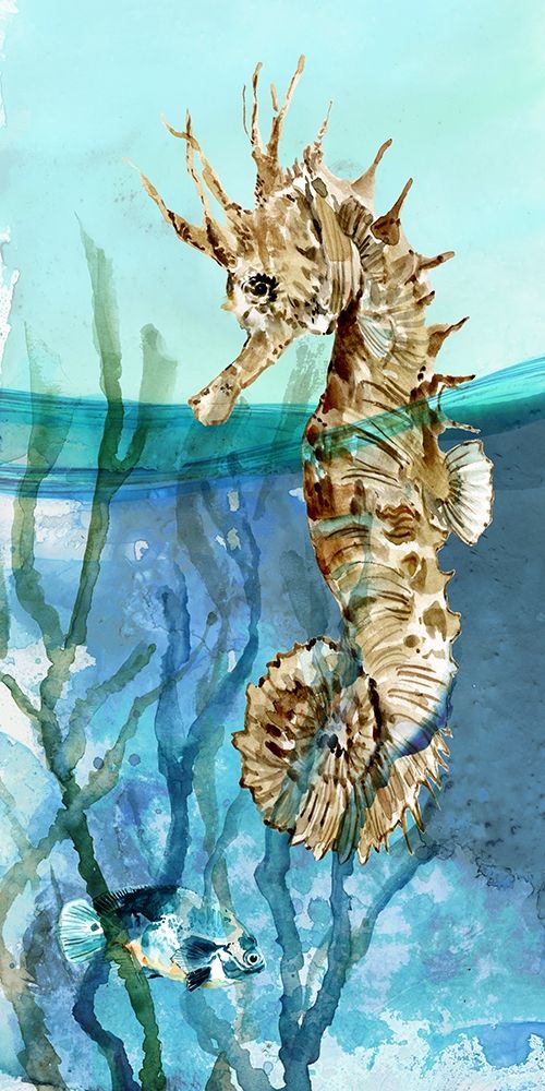 Pacific Seahorse art print by Carol Robinson for $57.95 CAD