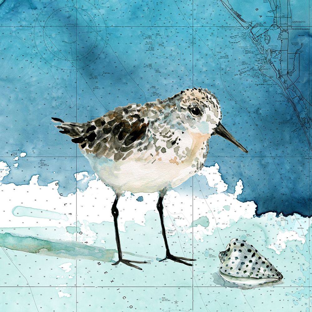 Bay Shore Sandpiper I art print by Carol Robinson for $57.95 CAD