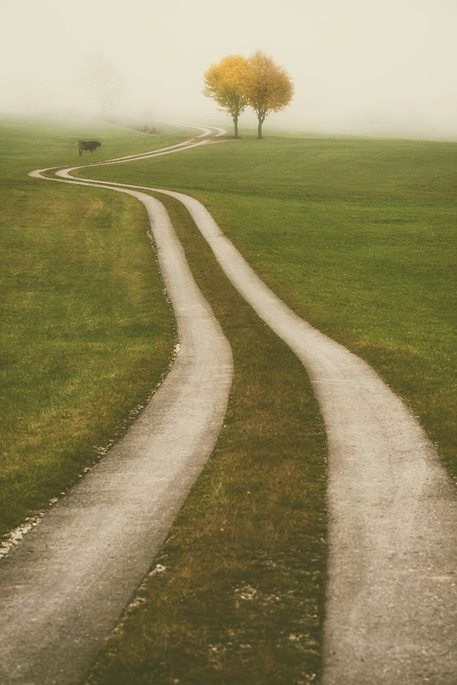 Winding Path art print by Lars Van de Goor for $57.95 CAD